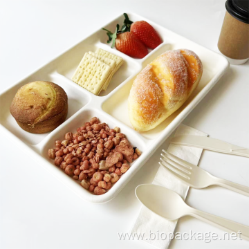 Disposable bagasse 5 compartment plates